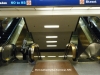 Website photo - Port Authority gates